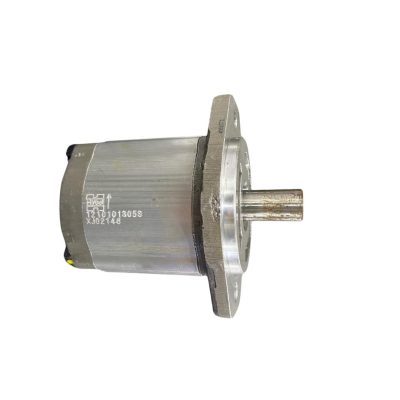 Bomba HYB. 13CC(H) Eixo 19mm Chav. (3/4 NPT)